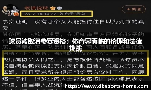 多宝体育